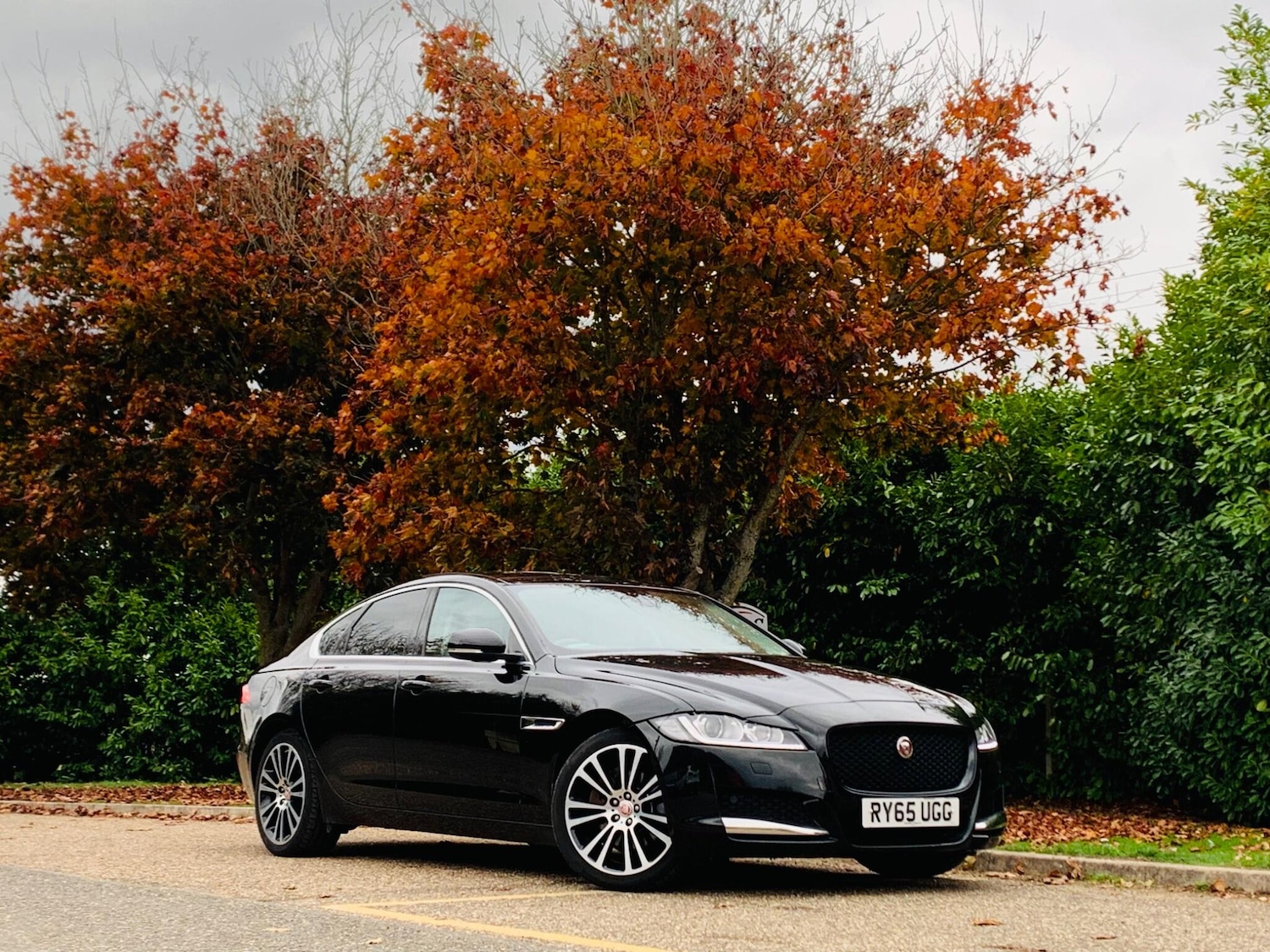 Used Jaguar XF 2015 for sale - 77163395: Photo 5