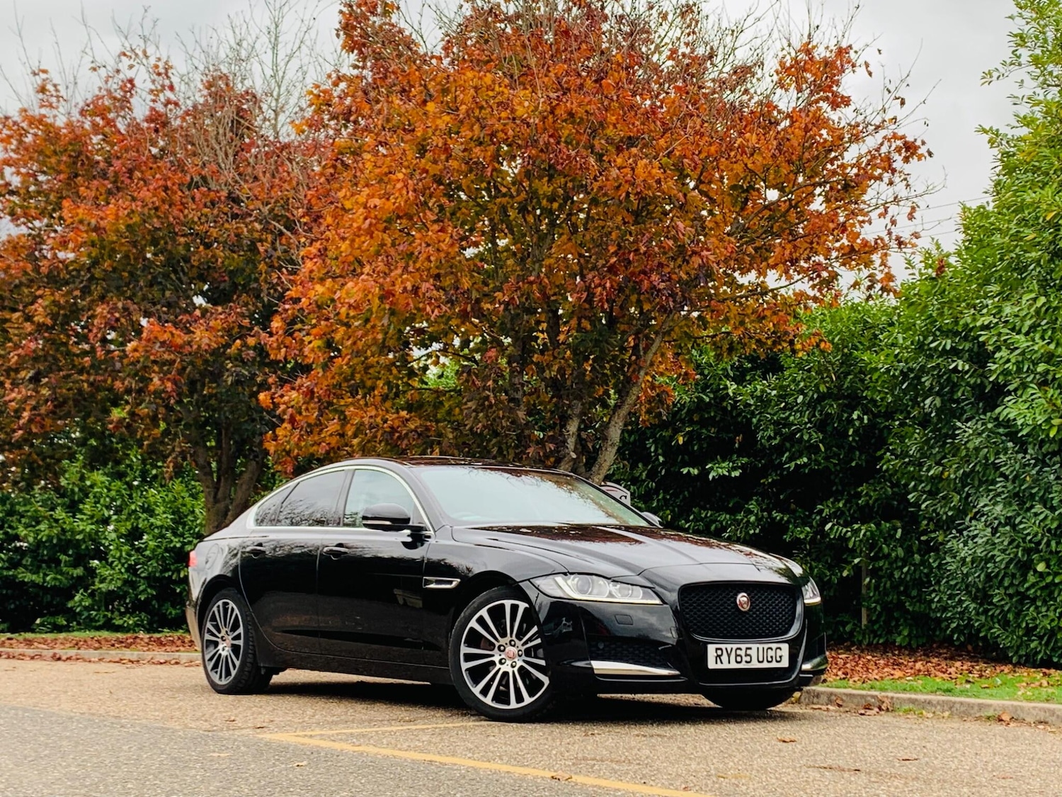 Used Jaguar XF 2015 for sale - 77163395: Photo 6