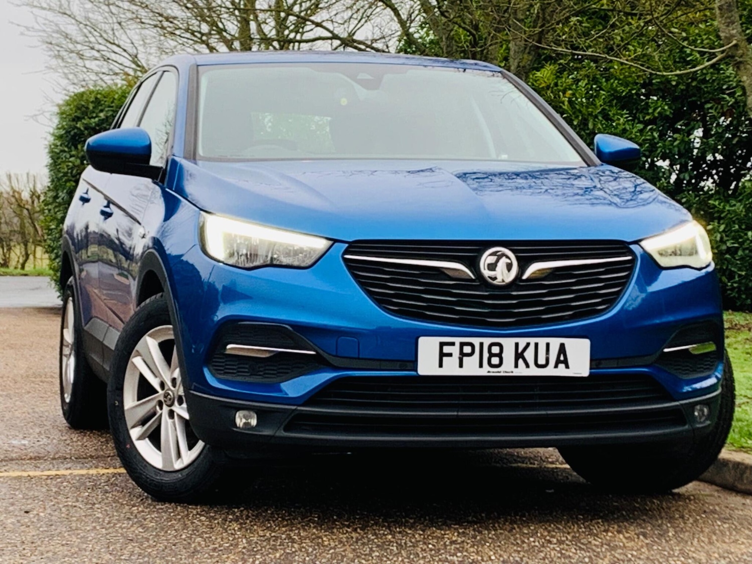 Used Vauxhall Grandland X 2018 for sale - 77386710: Photo 1