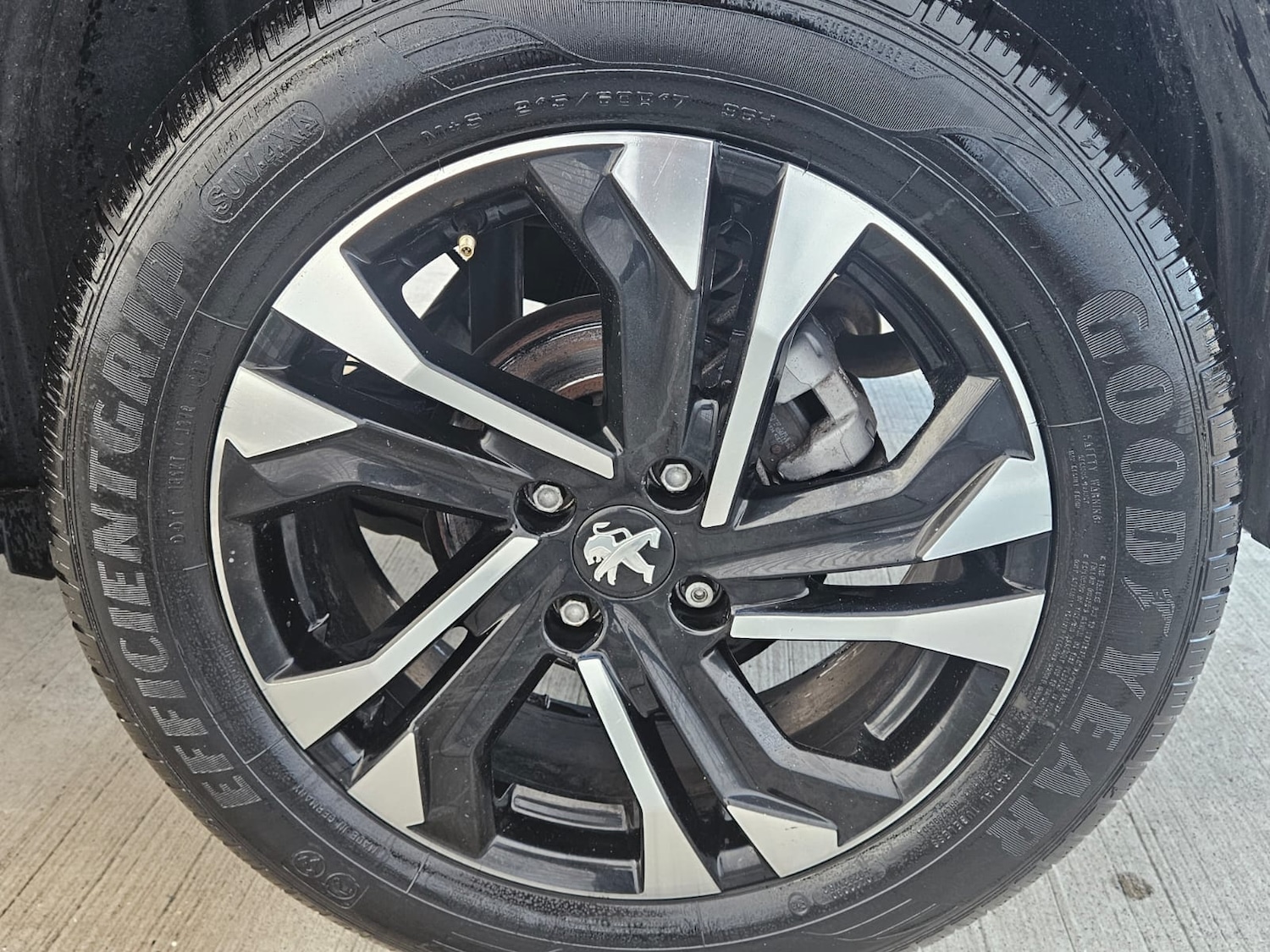 Used Peugeot 2008 2023 for sale - 77125227: Photo 11