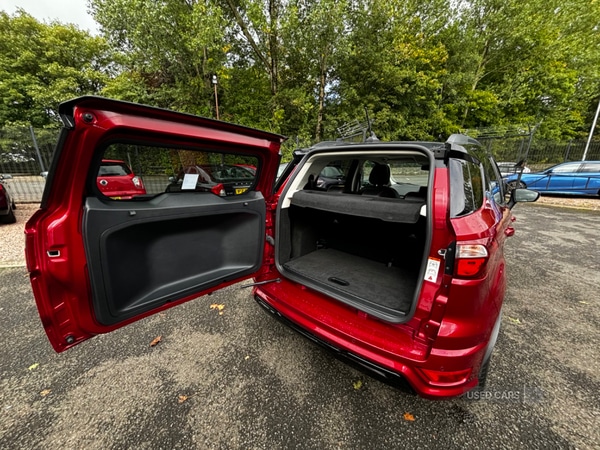 Used Ford Ecosport 2019 for sale - 75991924: Photo 13