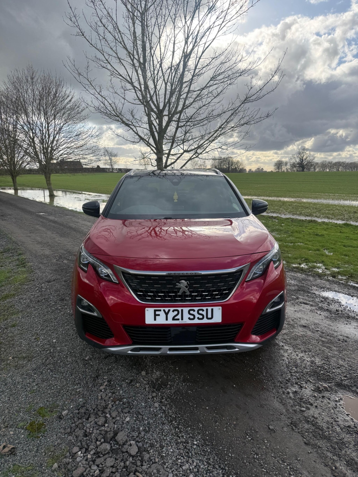 Used Peugeot 3008 for sale - 77705460: Photo 10