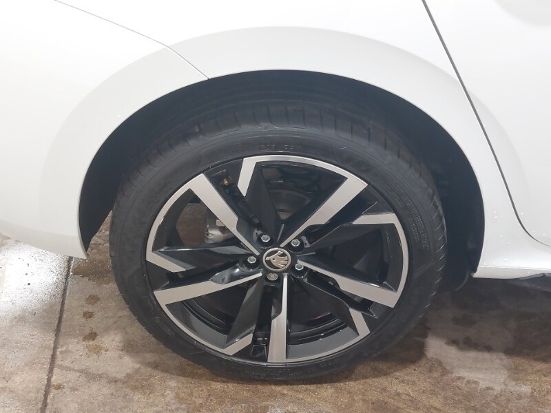 Used Skoda Kamiq 2024 for sale - 76911898: Photo 17