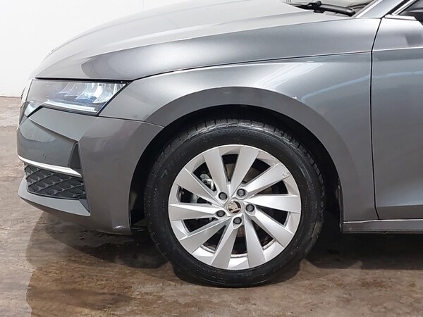 Used Skoda Octavia 2024 for sale - 76233430: Photo 13