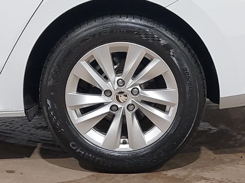 Used Skoda Octavia 2024 for sale - 77034889: Photo 13