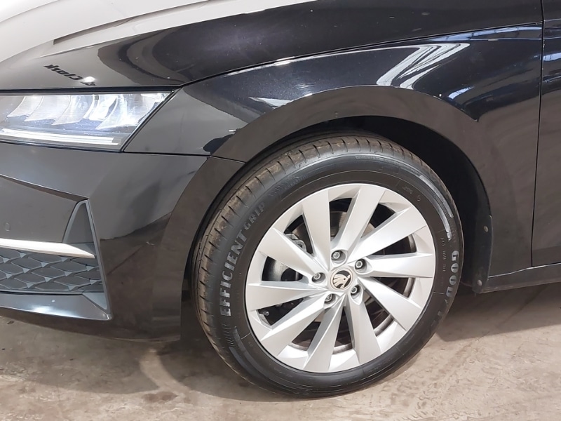 Used Skoda Octavia 2024 for sale - 77987899: Photo 13