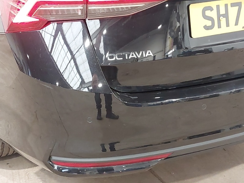 Used Skoda Octavia 2024 for sale - 77987899: Photo 15