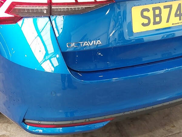 Used Skoda Octavia 2025 for sale - 75796213: Photo 15