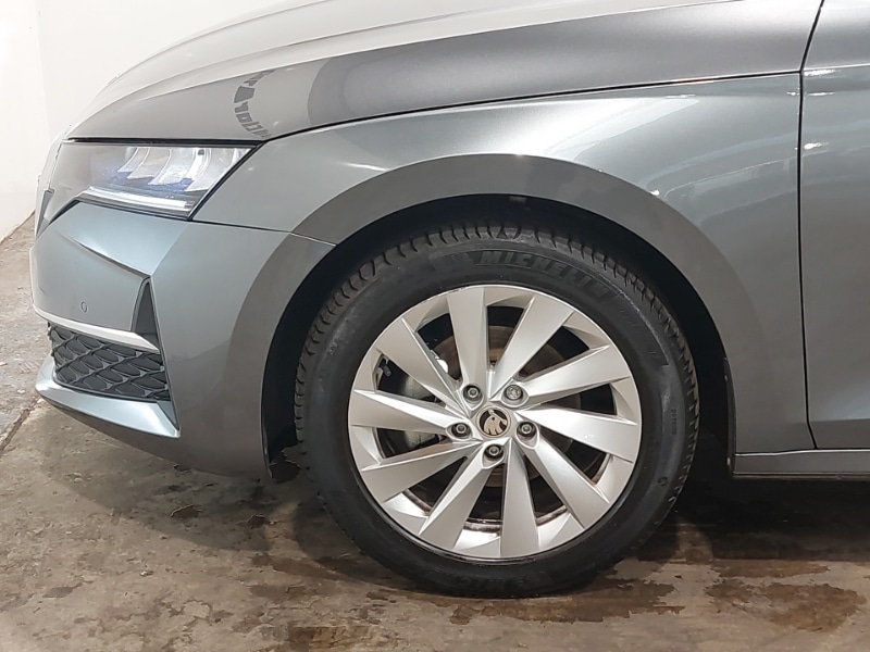 Used Skoda Octavia 2024 for sale - 76083396: Photo 13
