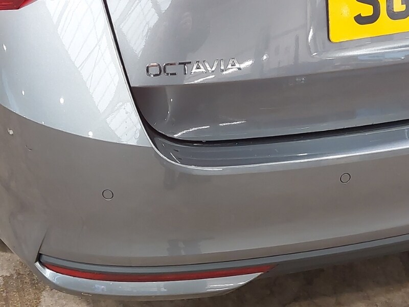 Used Skoda Octavia 2024 for sale - 76083396: Photo 15