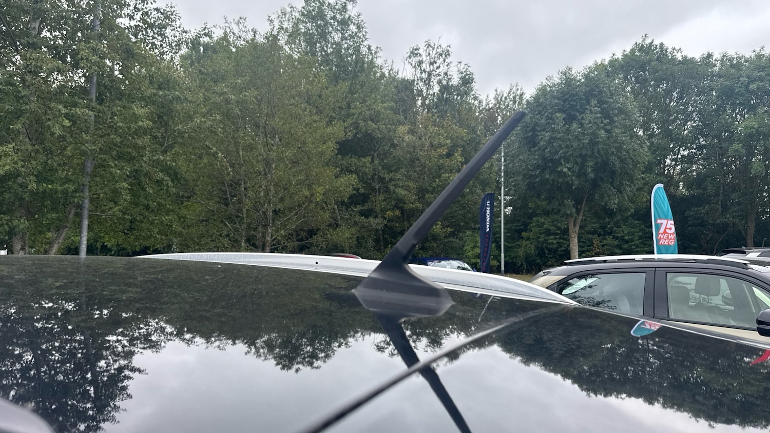 Vehicle 33