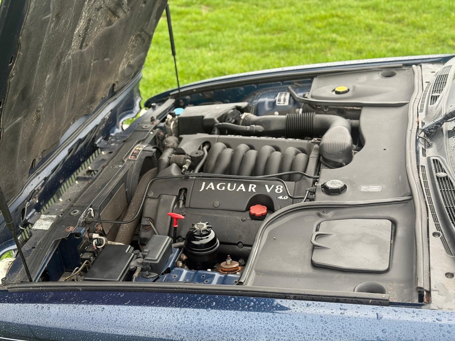 Used Jaguar XJ 2001 for sale - 76877525: Photo 9