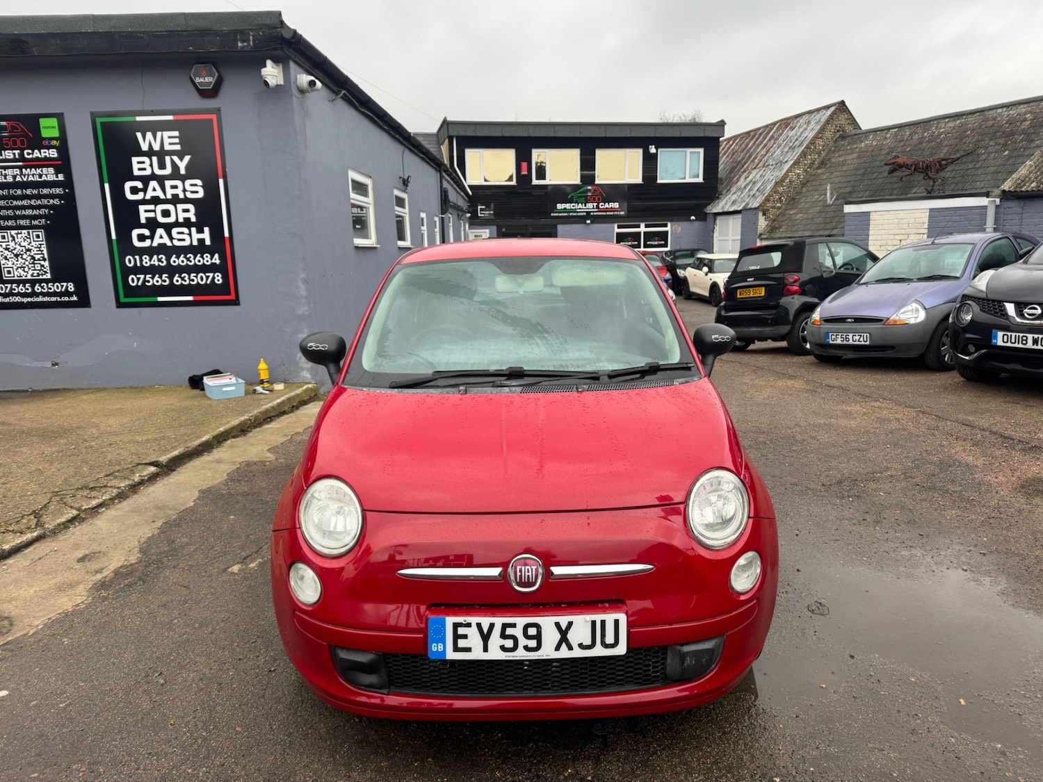 Used Fiat 500 2009 for sale - 77364405: Photo 3