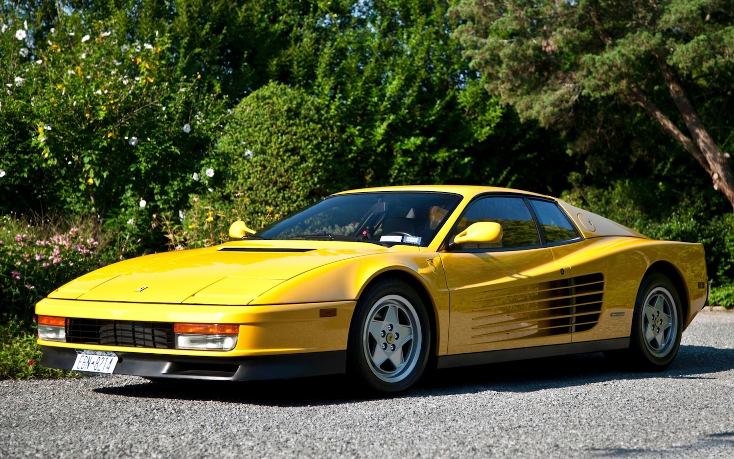 Used Ferrari Testarossa 1991 for sale - 77898143: Photo 3