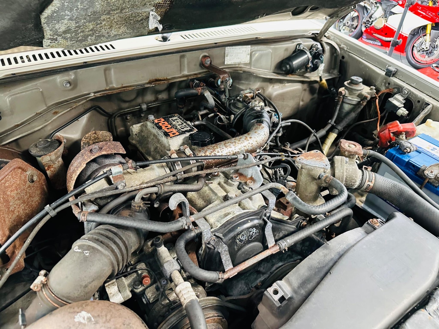 Used Toyota Land Cruiser for sale - 76538894: Photo 42