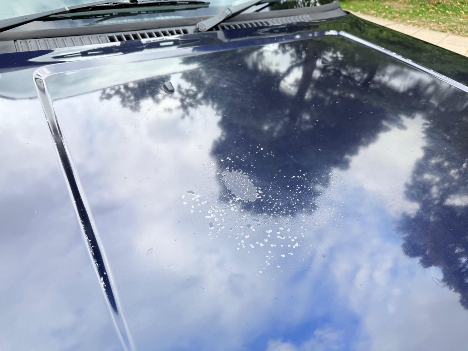 Used Land Rover Range Rover 1998 for sale - 76099602: Photo 22