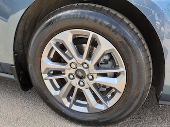 Used Ford Focus 2023 for sale - 79536346: Photo
