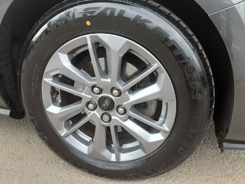 Used Ford Focus 2023 for sale - 77666123: Photo