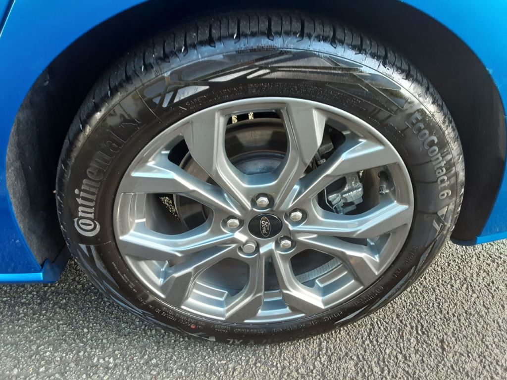 Used Ford Focus 2024 for sale - 76739718: Photo 11