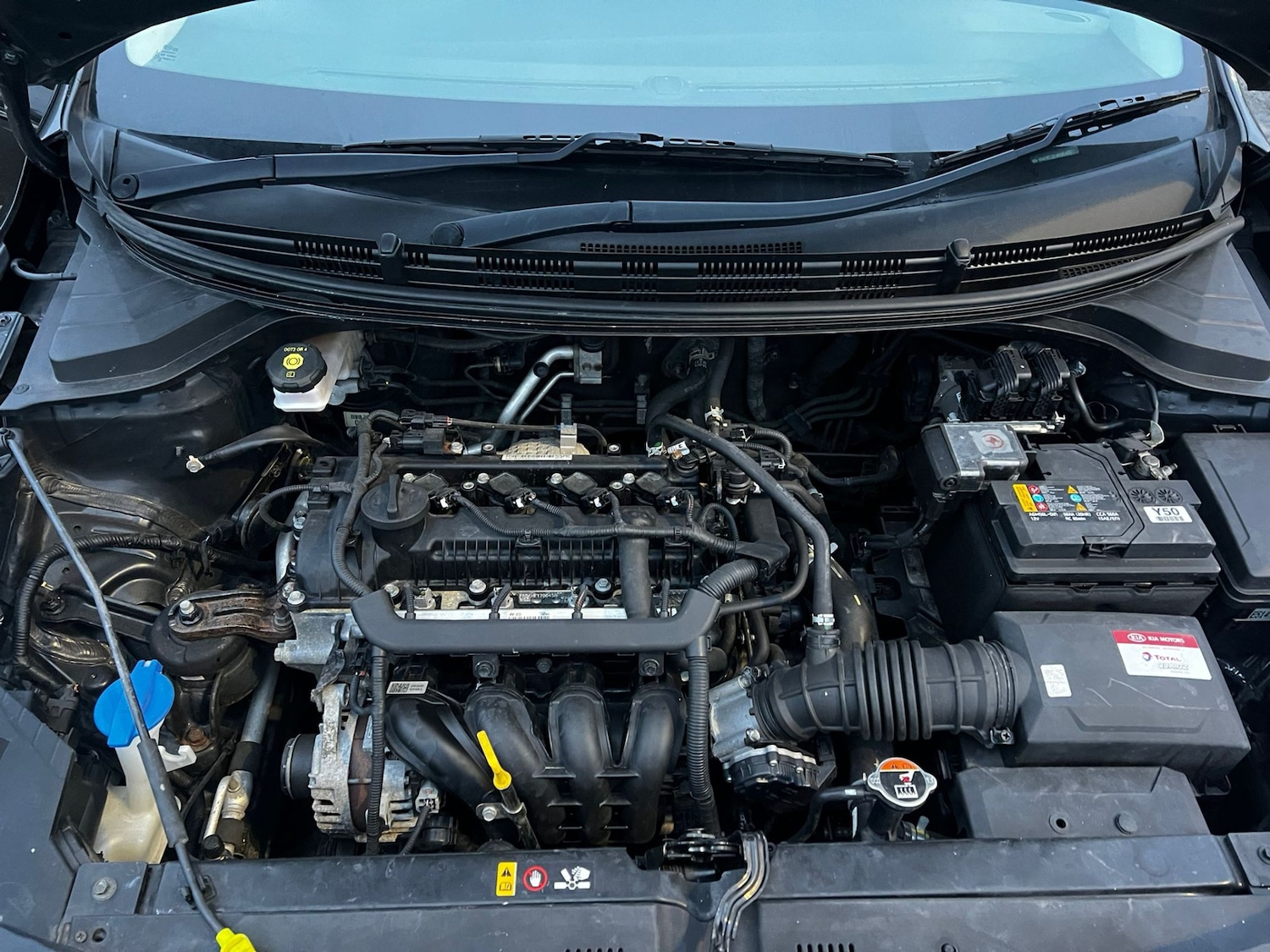 Used Kia Rio 2017 for sale - 77028221: Photo 12