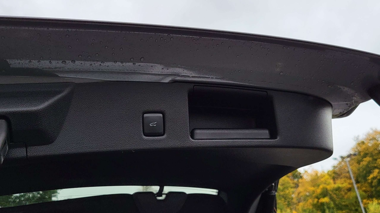 Used Ford Kuga 2024 for sale - 76169965: Photo 13