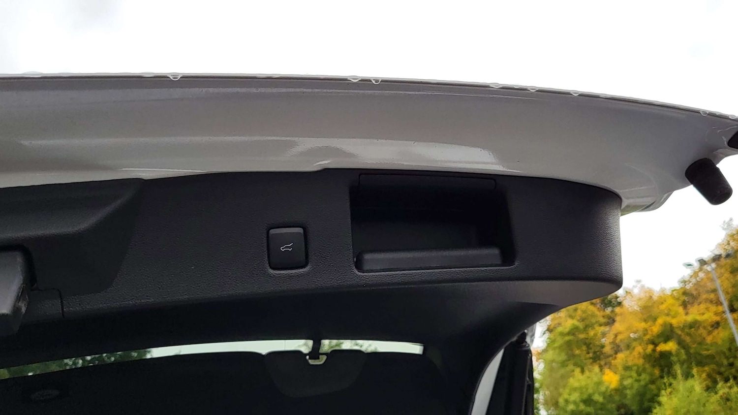 Used Ford Kuga 2024 for sale - 76170156: Photo 13