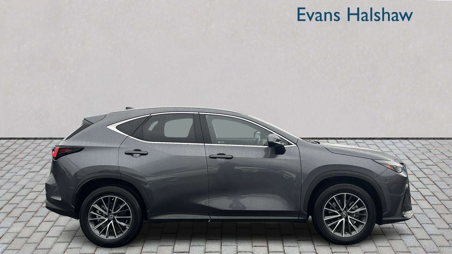 Used Lexus NX 2023 for sale - 77996262: Photo 4