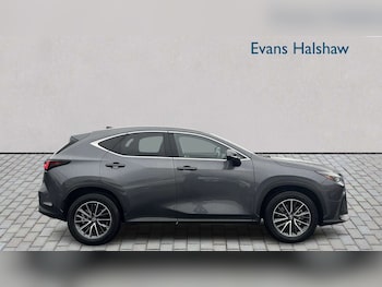 Used Lexus NX 2023 for sale - 77996262: Photo