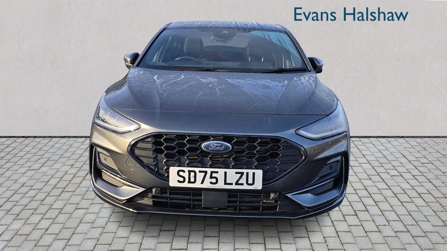 Used Ford Focus 2025 for sale - 77361480: Photo 5