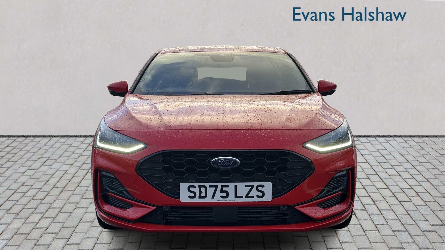 Used Ford Focus 2025 for sale - 76902272: Photo 4