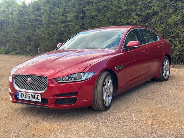 Used Jaguar XE 2016 for sale - 75002370: Photo 10
