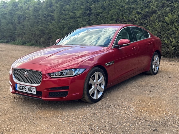 Used Jaguar XE 2016 for sale - 75002370: Photo 15