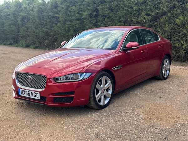 Used Jaguar XE 2016 for sale - 75002370: Photo 16