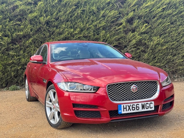 Used Jaguar XE 2016 for sale - 75002370: Photo 17