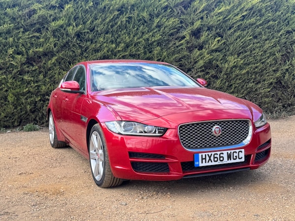 Used Jaguar XE 2016 for sale - 75002370: Photo 21