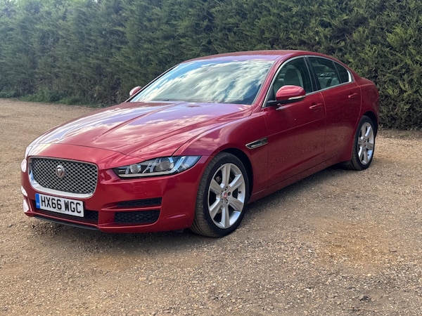 Used Jaguar XE 2016 for sale - 75002370: Photo 5