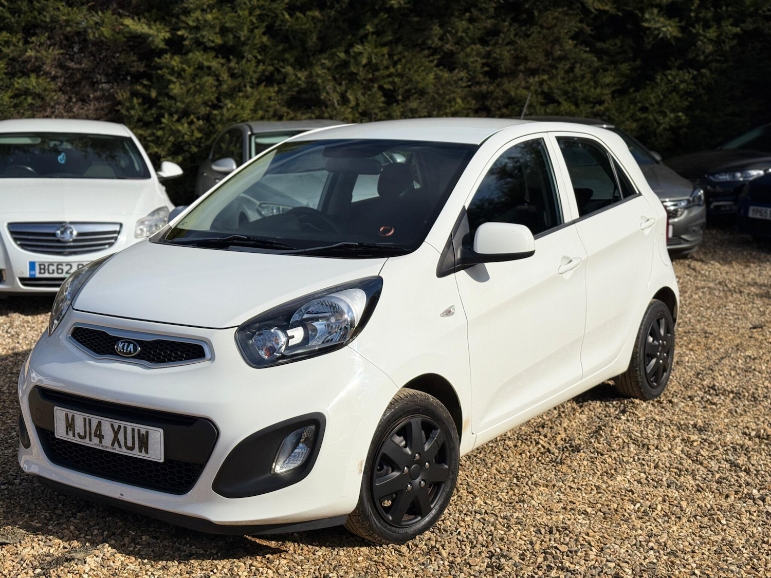 Used Kia Picanto for sale - 77824850: Photo 2