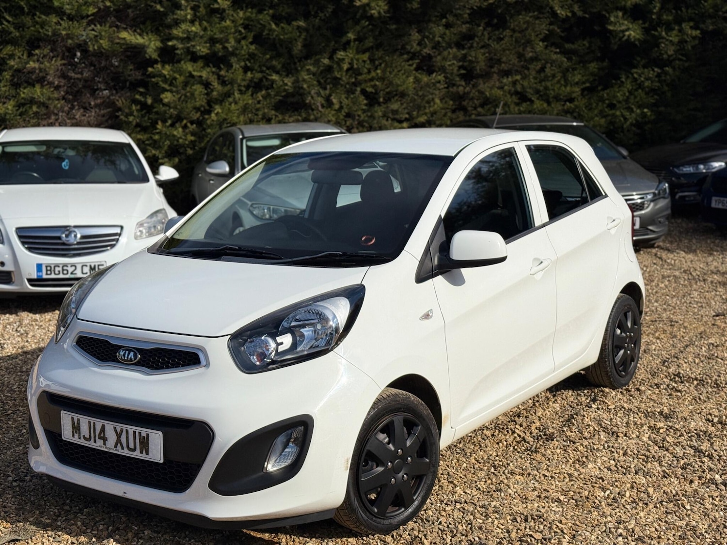 Used Kia Picanto for sale - 77824850: Photo 25