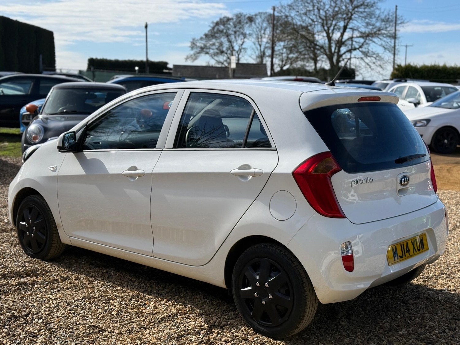 Used Kia Picanto for sale - 77824850: Photo 27
