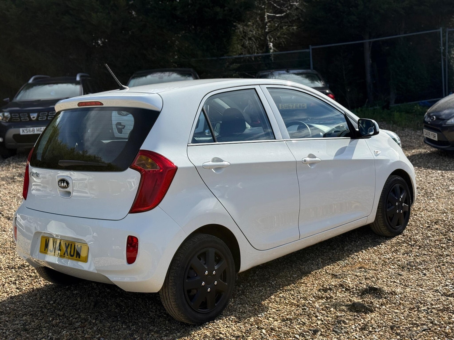 Used Kia Picanto for sale - 77824850: Photo 4