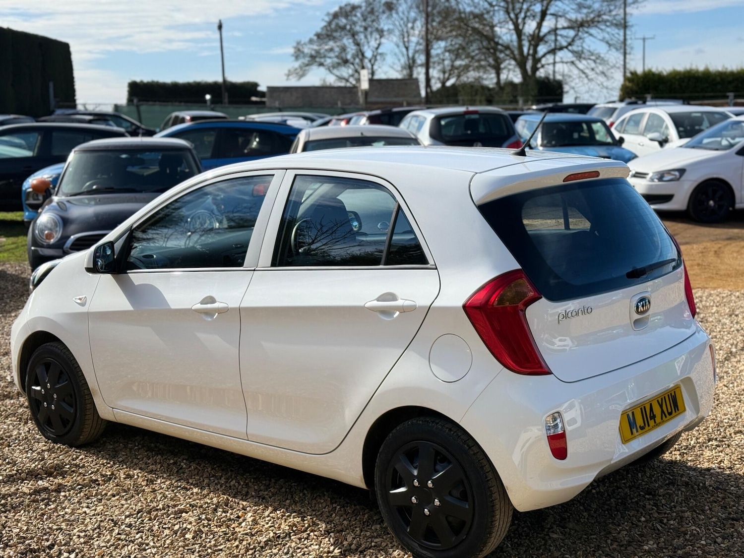 Used Kia Picanto for sale - 77824850: Photo 5