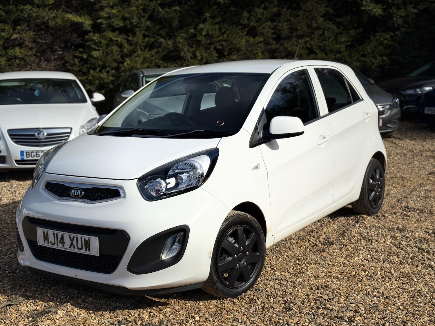 Used Kia Picanto for sale - 77824850: Photo 7