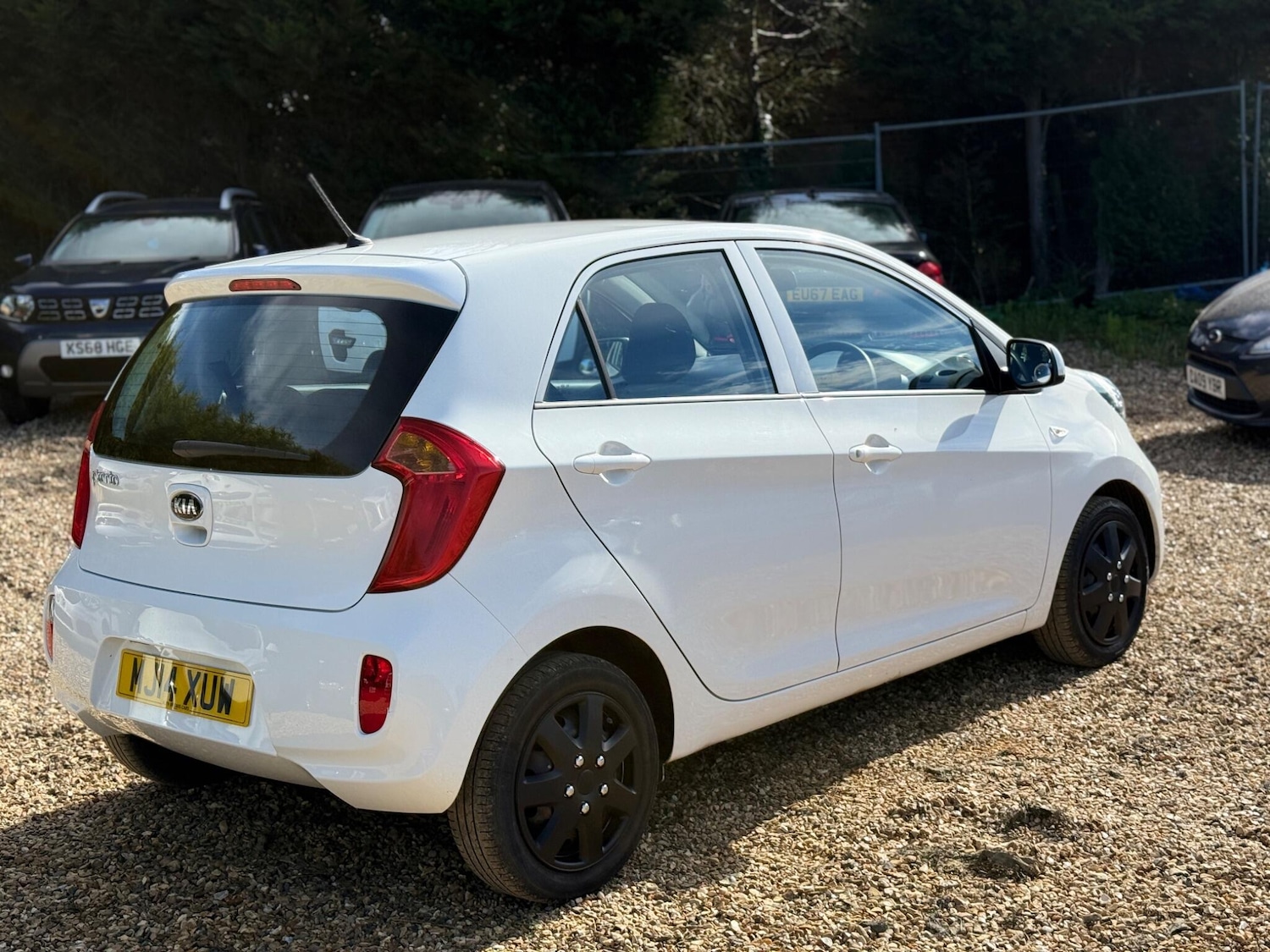Used Kia Picanto for sale - 77824850: Photo 9