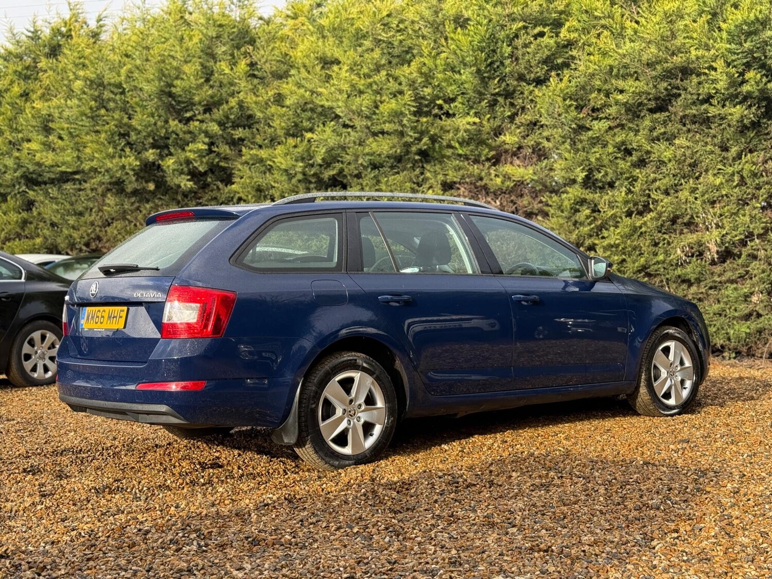 Used Skoda Octavia 2016 for sale - 77523733: Photo 20