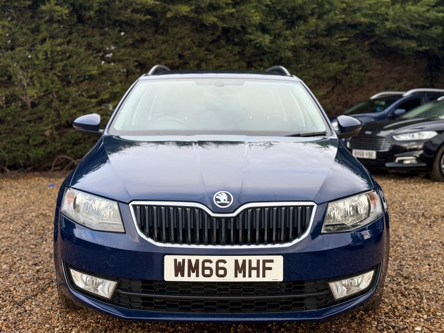 Used Skoda Octavia 2016 for sale - 77523733: Photo 3