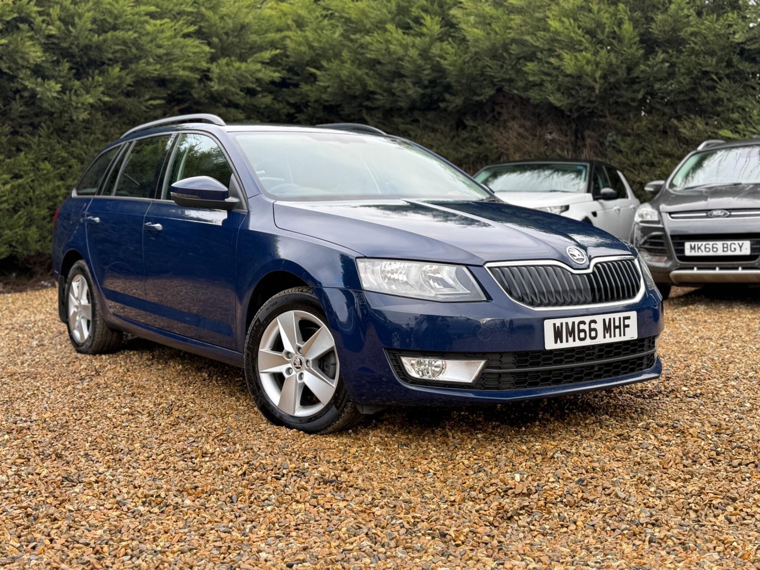 Used Skoda Octavia 2016 for sale - 77523733: Photo 6
