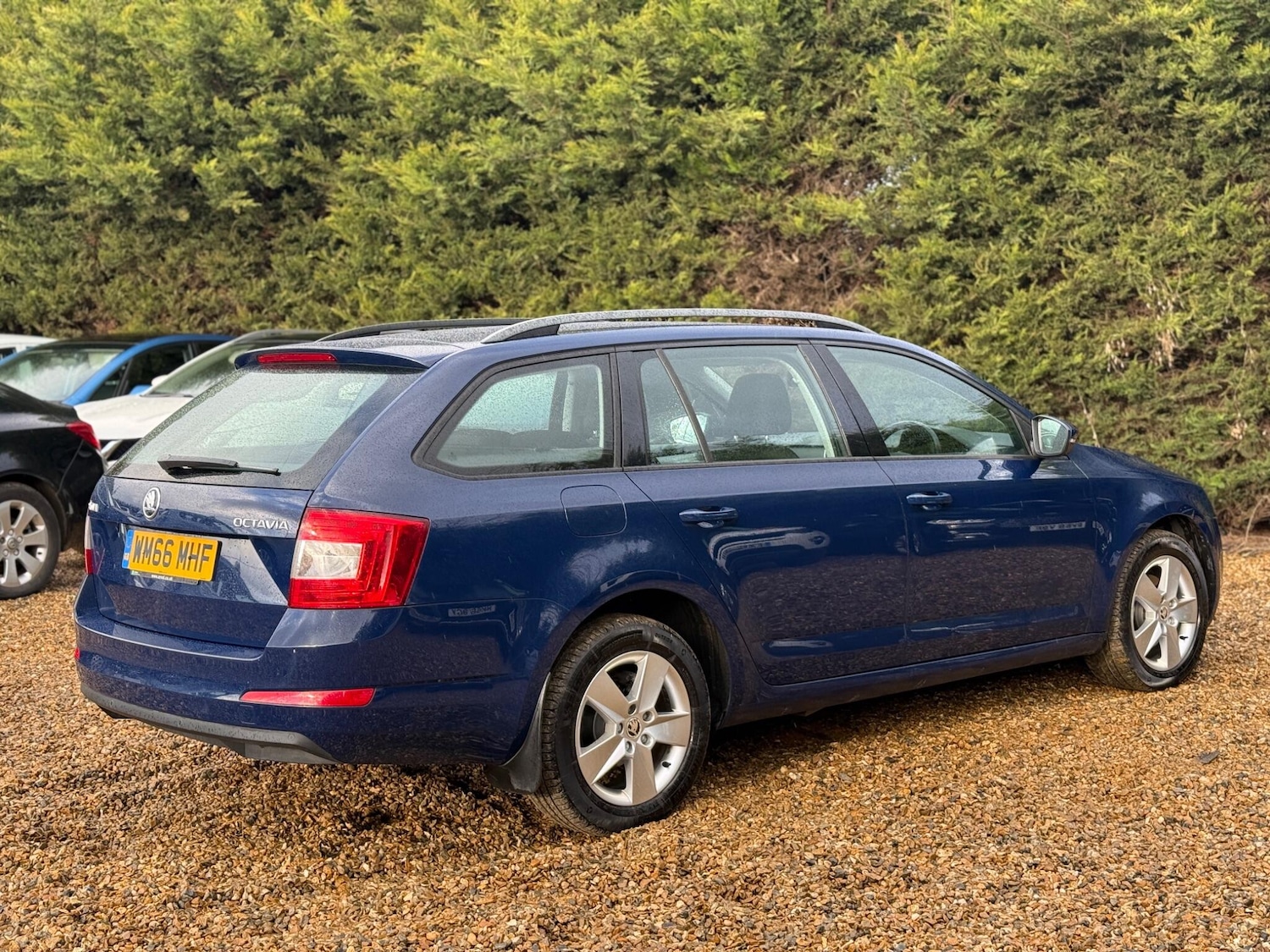 Used Skoda Octavia 2016 for sale - 77523733: Photo 7