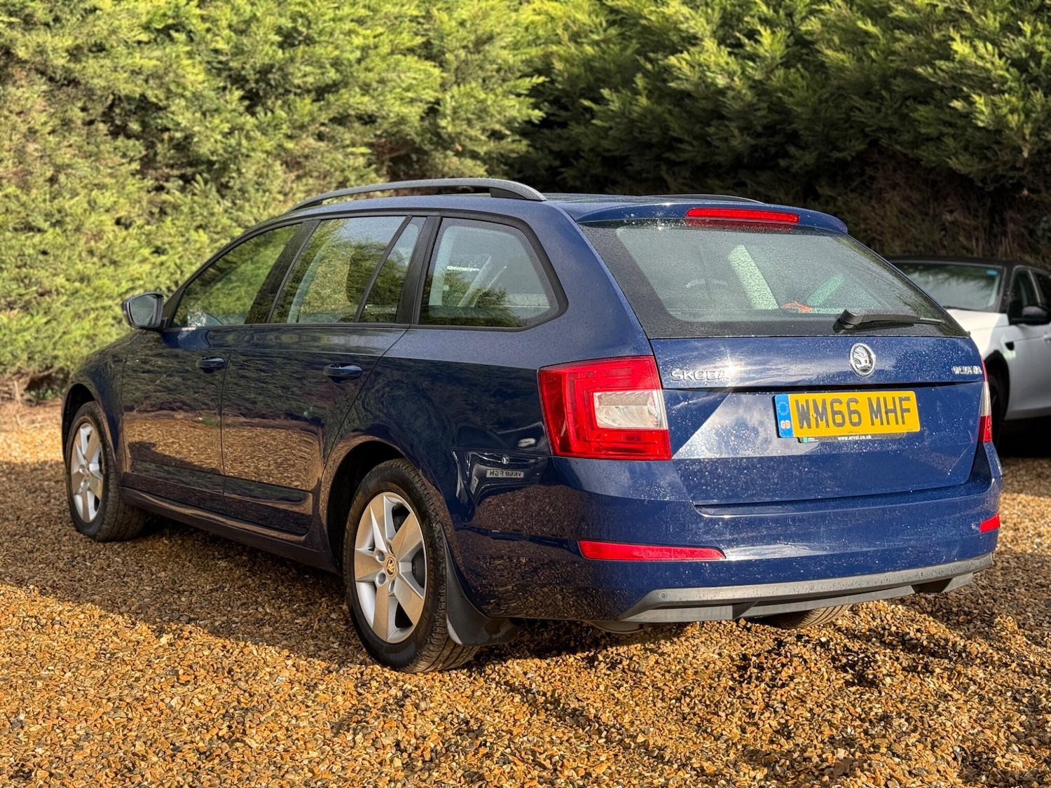 Used Skoda Octavia 2016 for sale - 77523733: Photo 8