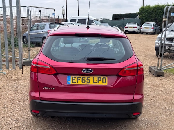 Used Ford Focus 2015 for sale - 76238996: Photo 14