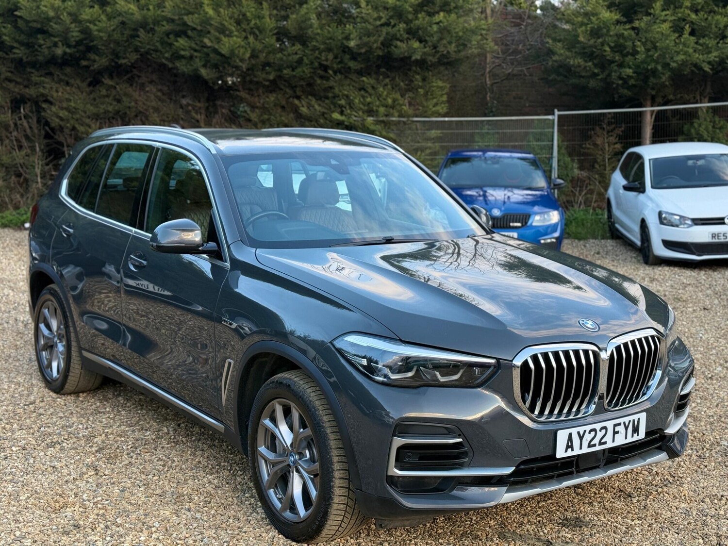 Used BMW X5 for sale - 77824169: Photo 11
